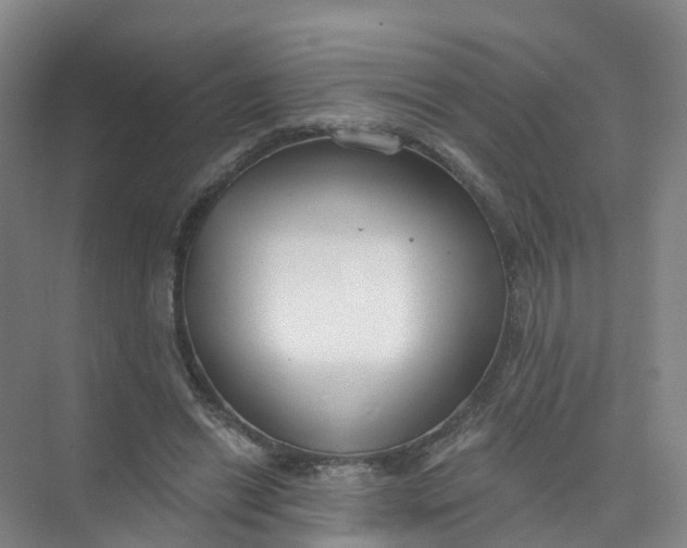 X0000074940446200609152009