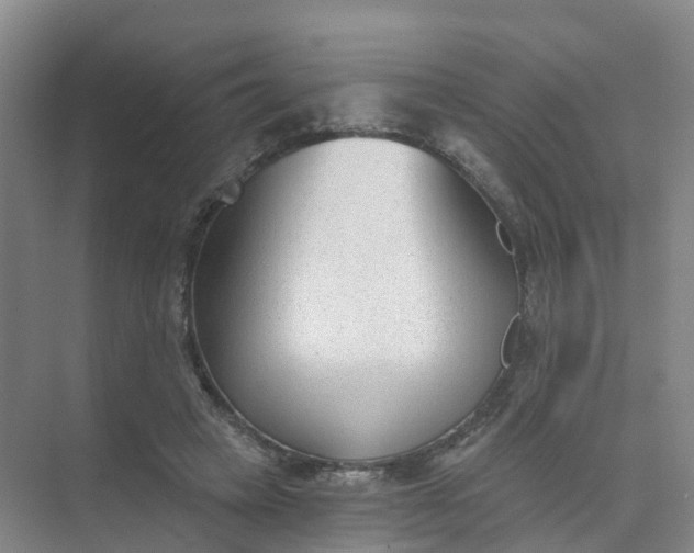 X0000074940449200609152009