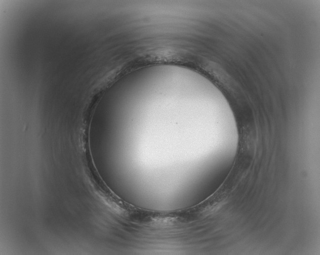 X0000074940450200609152009