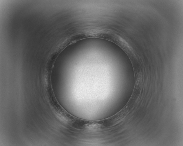 X0000074940452200609152009