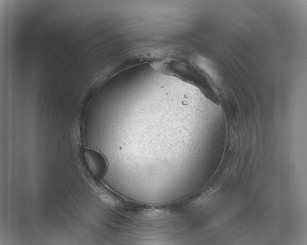 X0000074940453200609152009