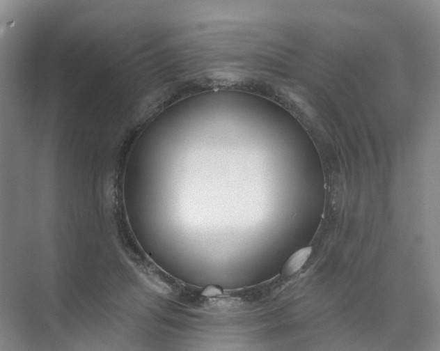 X0000074940455200609152009