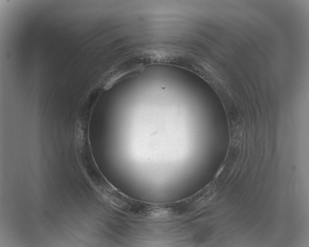 X0000074940456200609152009