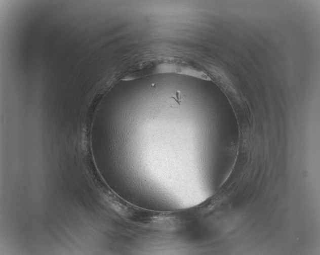 X0000074940457200609152009