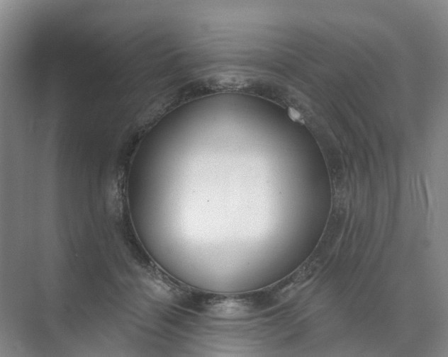 X0000074940460200609152009