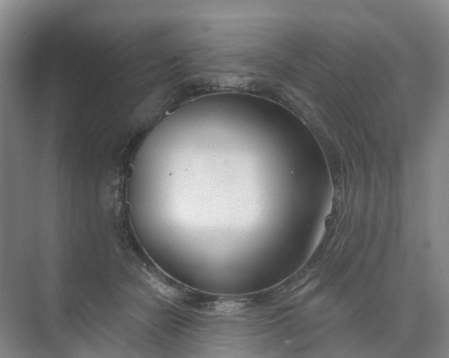 X0000074940462200609152009