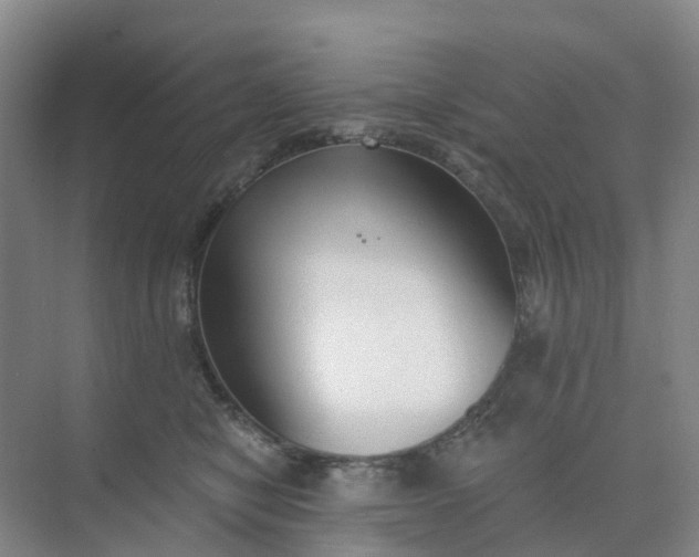 X0000074940470200609152009