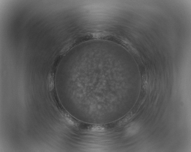 X0000074940471200609152009