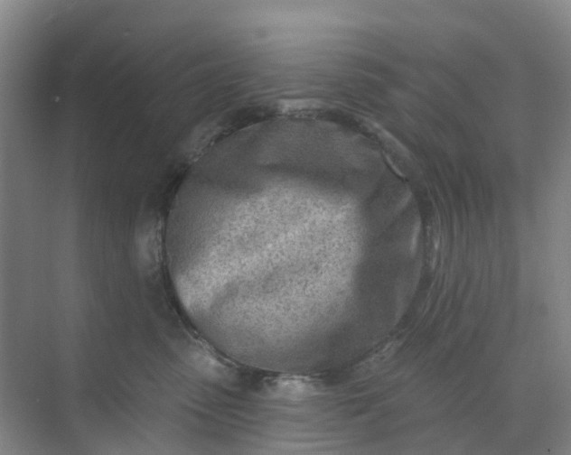 X0000074940475200609152009