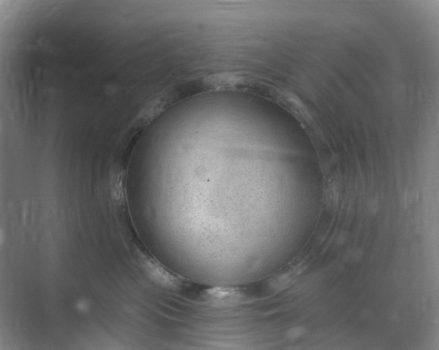 X0000074940477200609152009