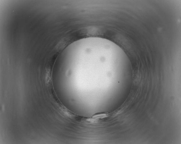 X0000074940478200609152009