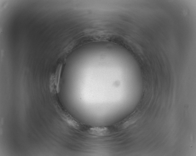 X0000074940480200609152009