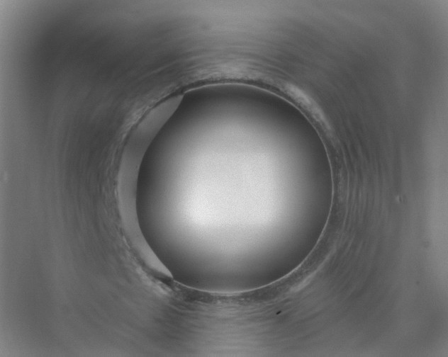 X0000074940481200609152008