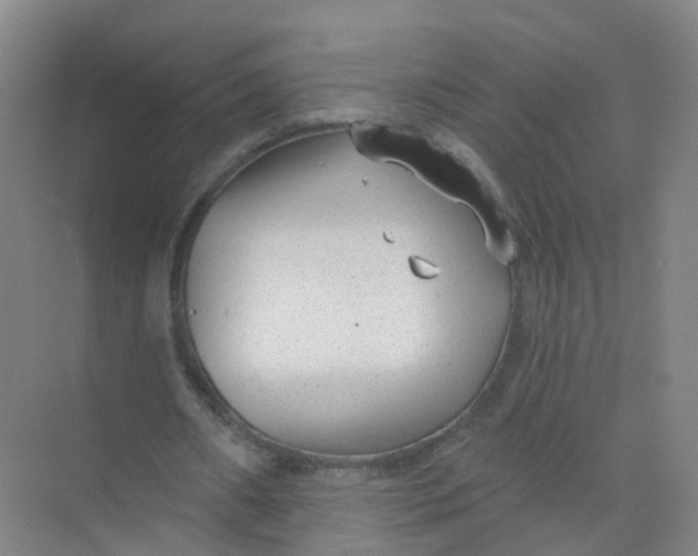 X0000074940482200609152008