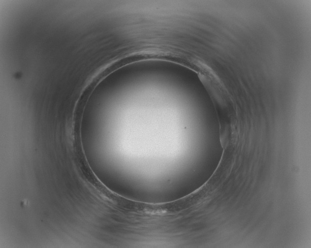 X0000074940484200609152008