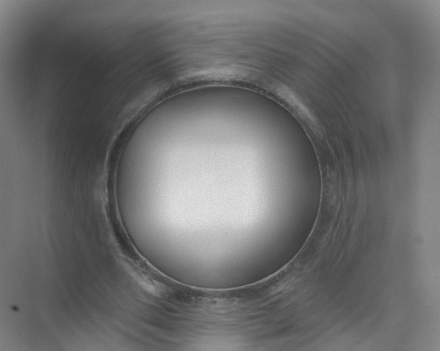 X0000074940486200609152008