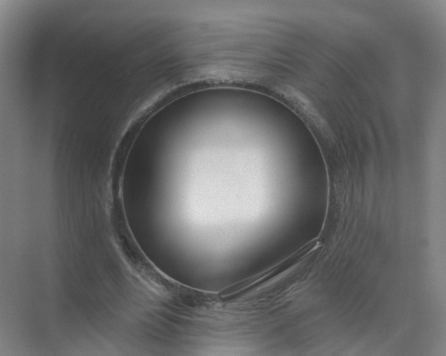 X0000074940488200609152008