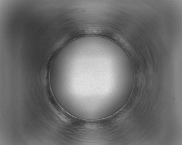 X0000074940490200609152008