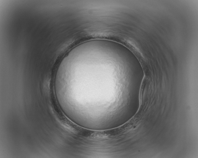 X0000074940491200609152008