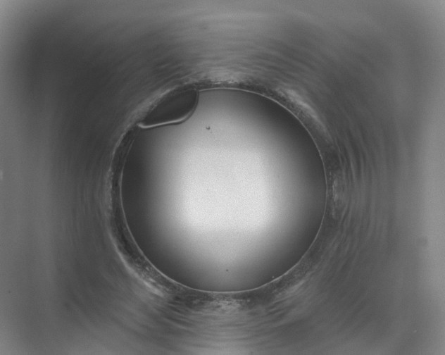 X0000074940492200609152008