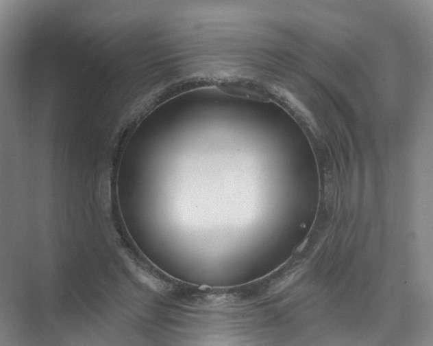 X0000074940493200609152008