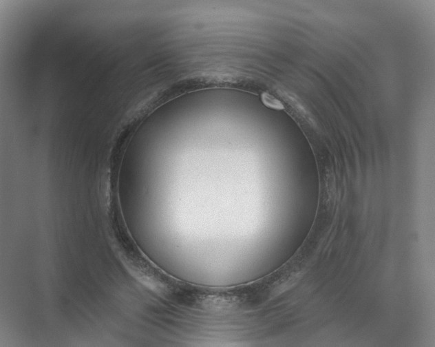 X0000074940494200609152008