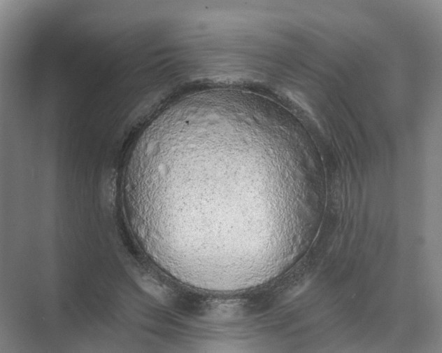 X0000074940495200609152008