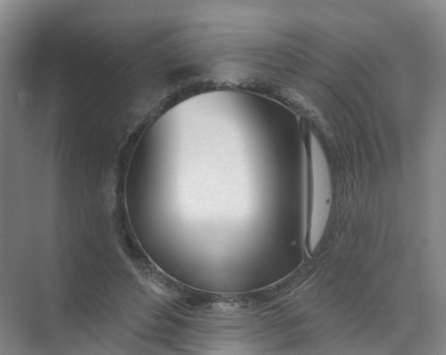 X0000074940496200609152008