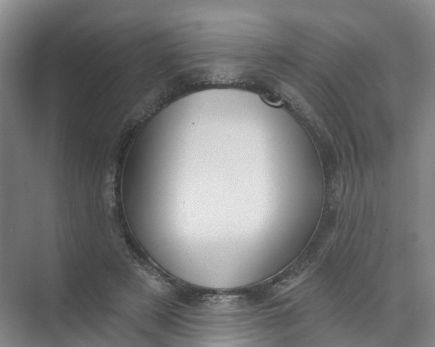 X0000074940497200609152008