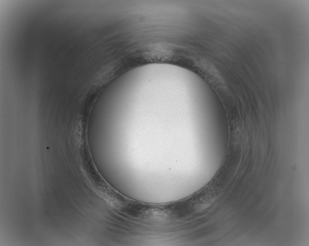 X0000074940498200609152008