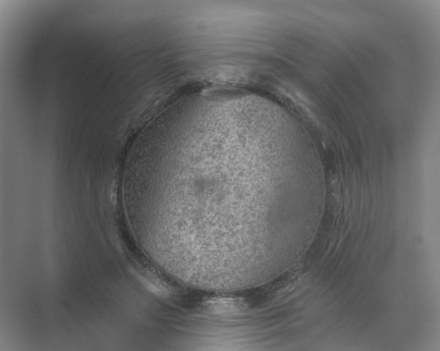 X0000074940499200609152008