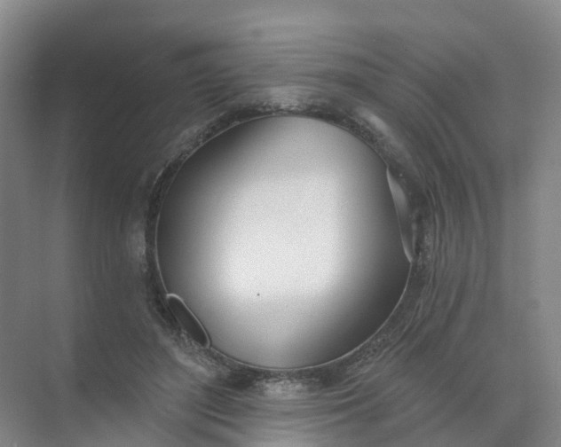 X0000074940500200609152008