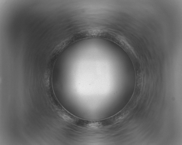 X0000074940505200609152008