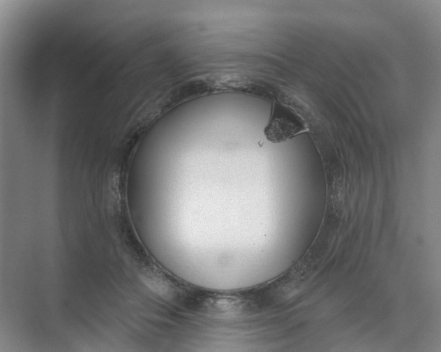 X0000074940506200609152008