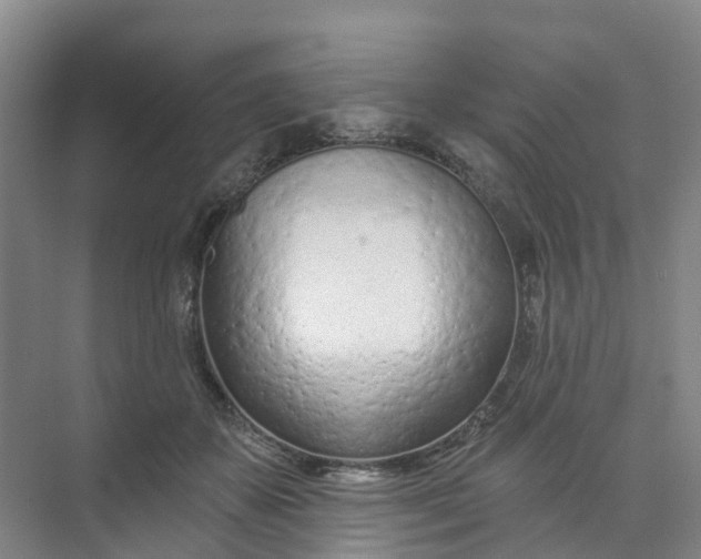 X0000074940507200609152008