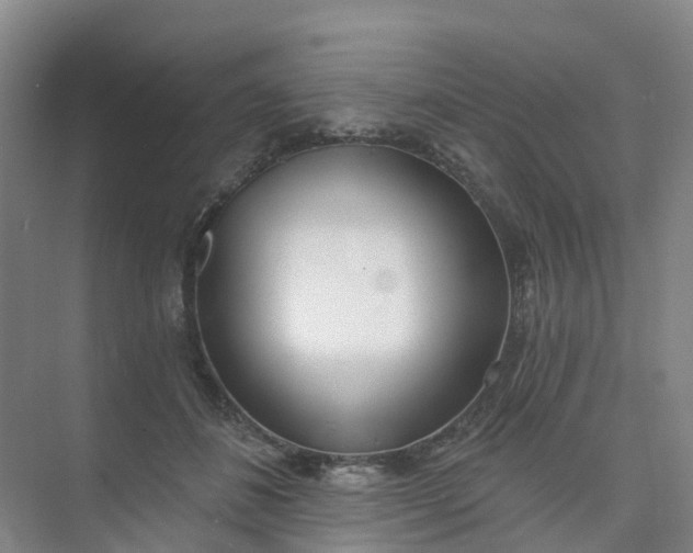 X0000074940508200609152008