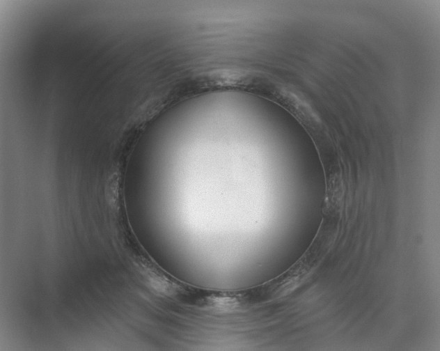 X0000074940509200609152008