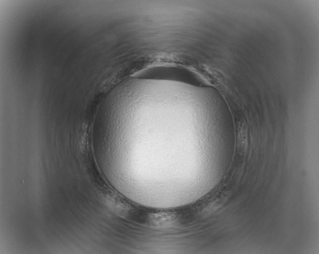 X0000074940511200609152008