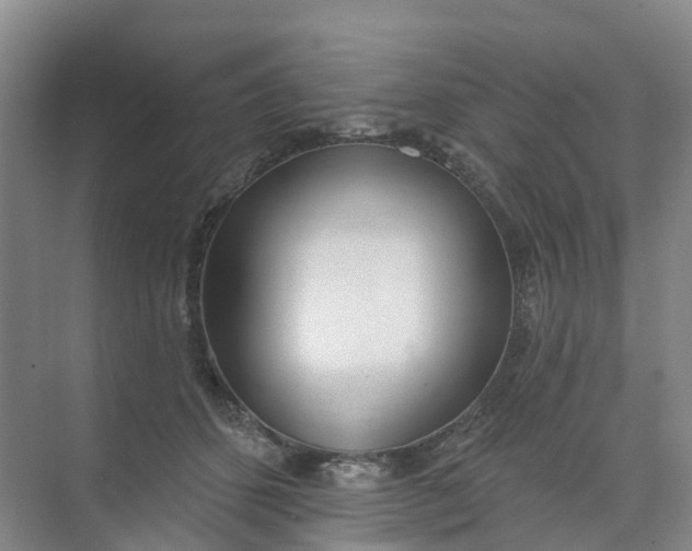 X0000074940512200609152008