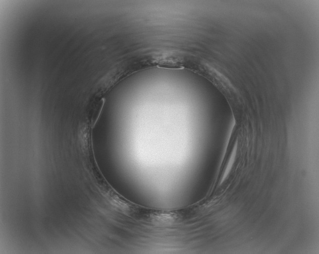 X0000074940513200609152008