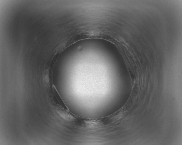 X0000074940516200609152008