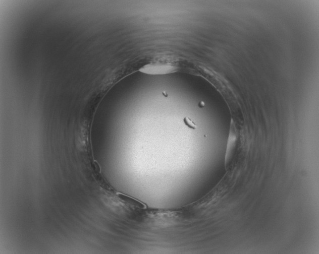 X0000074940517200609152008