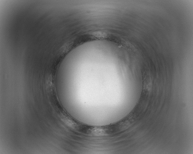 X0000074940518200609152008