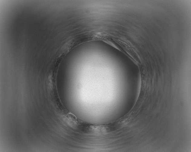 X0000074940520200609152008