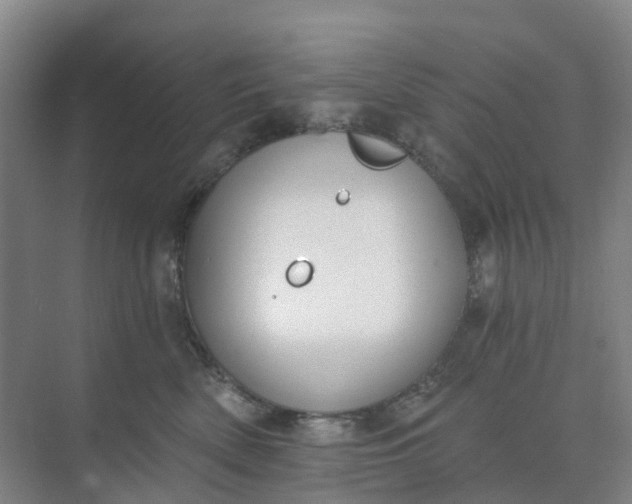 X0000074940522200609152008