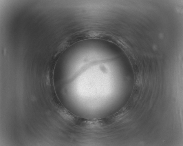 X0000074940524200609152008