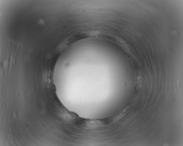 X0000074940525200609152008