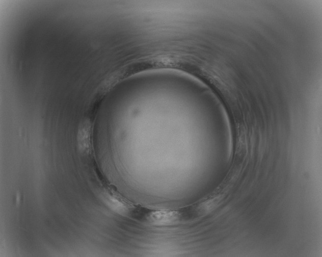 X0000074940526200609152008