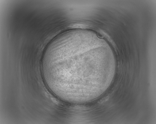 X0000074940529200609152007