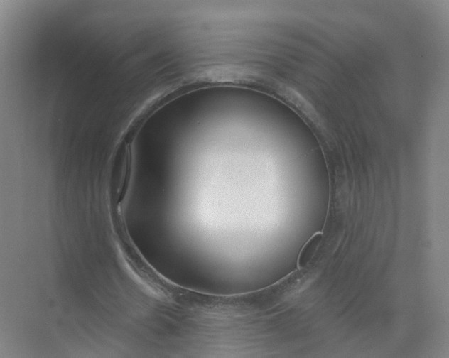 X0000074940530200609152007